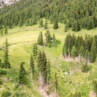 Dji 20260617163926 0057 D