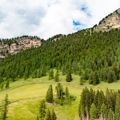 Dji 20260617163930 0058 D