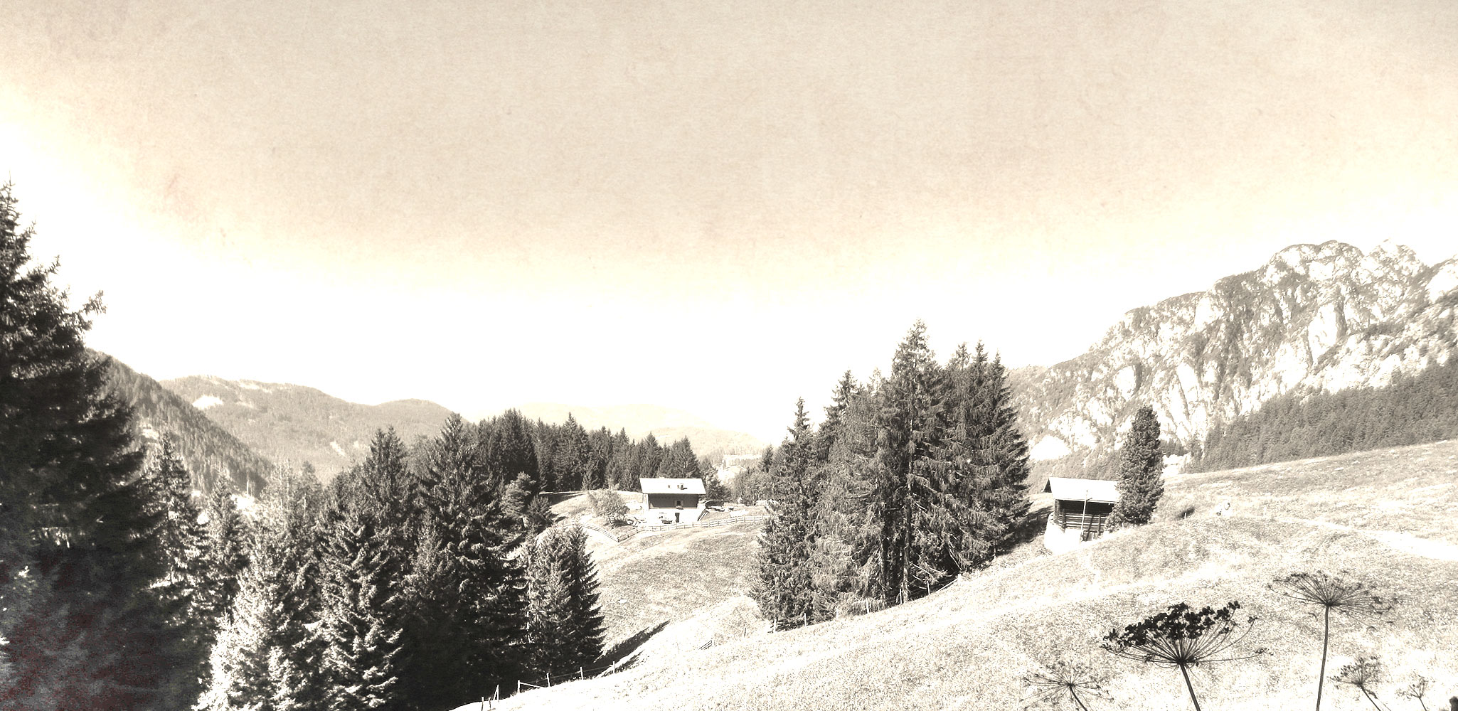 Eine Hütte fern von allem -